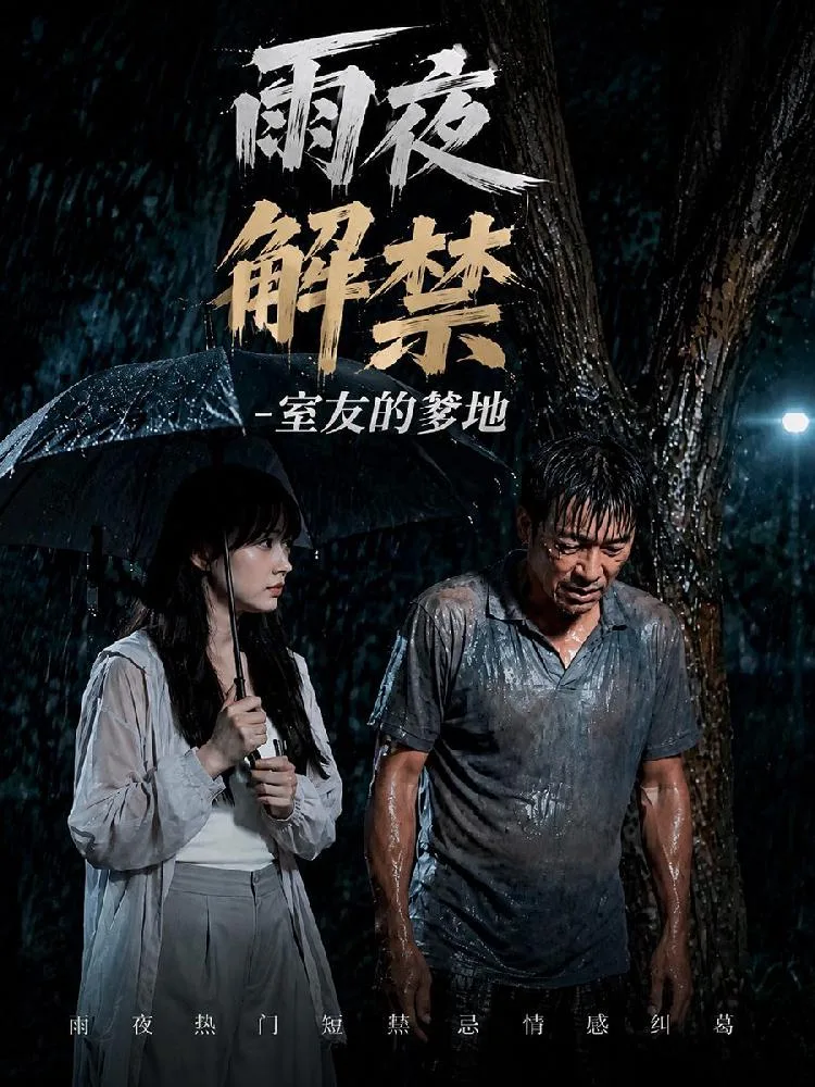 雨夜解禁室友的老爸 海报